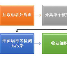細胞計數(shù)儀如何應用于生物免疫治療？